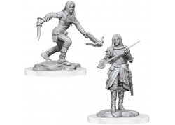 D&D Nolzur's Marvelous Miniatures: Half-Elf Rogue Female